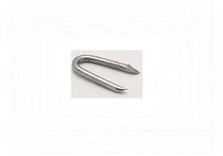 GALVANIZED POULTRY STAPLE