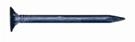 Cupped Head Drywall Nail